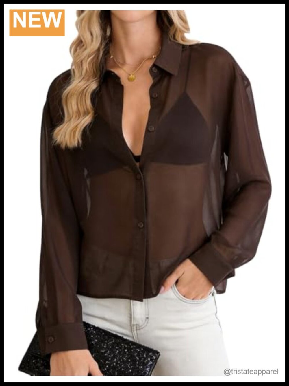 Sheer See Through Mesh Blouse Long Sleeve Button Up Shirt